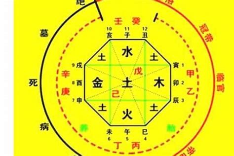 喜木火|生辰八字算命、五行喜用神查询（免费测算）